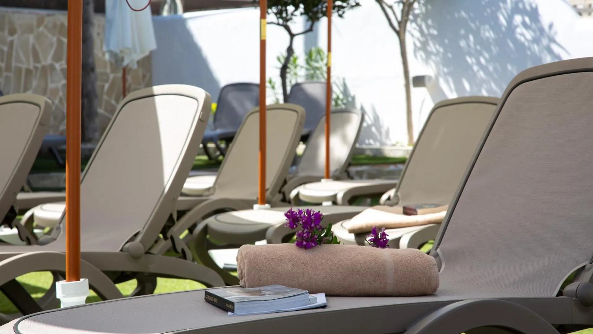 Casual Bahia Ibiza Hotel San Antonio